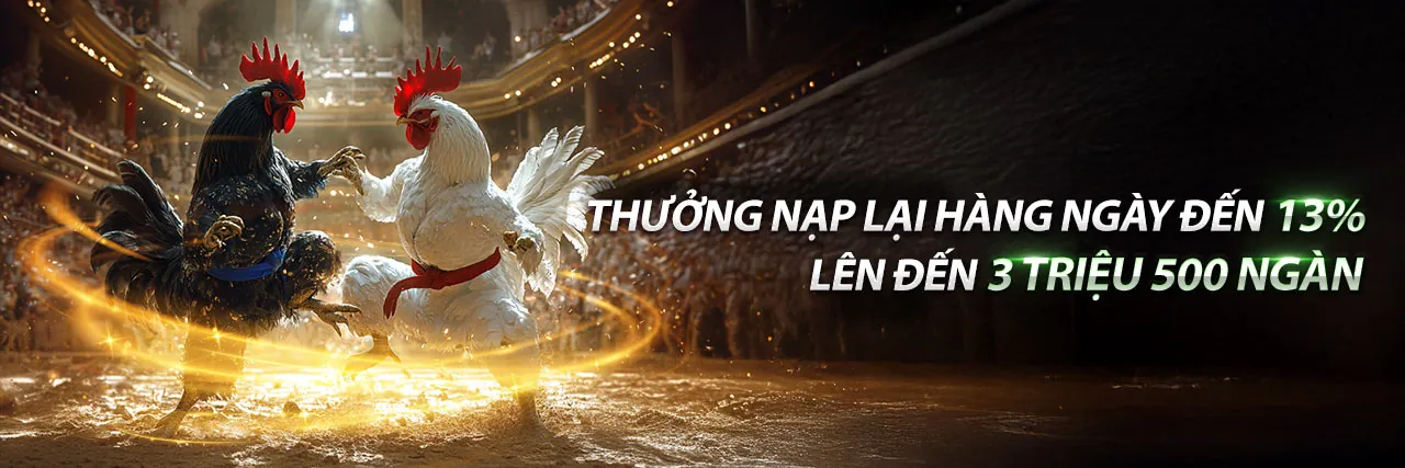 Đá gà trực tuyến 678win info