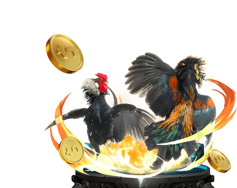 Tổng quan khuyến mãi 678win info